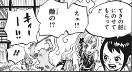 ワンピース 996話 お玉 最強