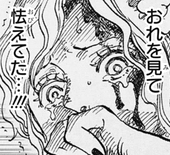 ワンピース ジェルマ66覚醒したサンジの眉毛の変化がヤバすぎる ネタバレ あにこぱす ワンピース ジェルマ66覚醒したサンジの眉毛の変化がヤバすぎる ネタバレ あにこぱす
