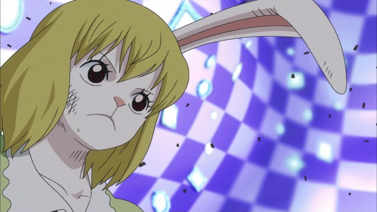 ワンピース 8 アニメ