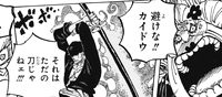 ワンピース 1002話 ゾロ リューマ