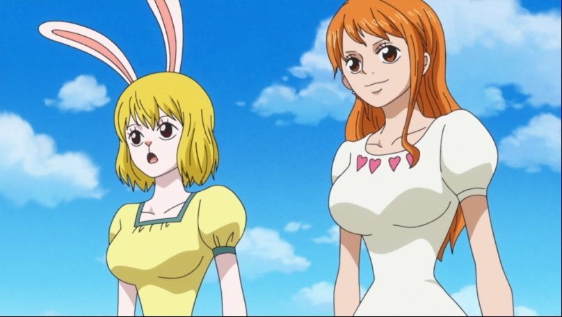 ワンピース アニメ 879話感想 レベッカとヴィオラ可愛すぎる コビー出世し過ぎでしょ ルフィの懸賞金がついに15億に ネタバレ 動画 画像 あにこぱす ワンピース アニメ 879話感想 レベッカとヴィオラ可愛すぎる コビー出世し過ぎでしょ ルフィの懸賞金がついに15億に ネタバレ 動画 画像 あにこぱす