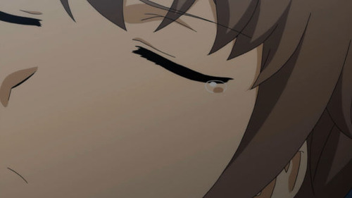 2598255