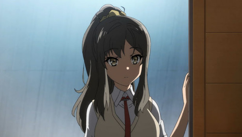  2495405
