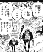 ワンピース ジョイボーイの正体がカイドウだと読者にバレバレだった ネタバレ 1036話 快童説 あにこぱす