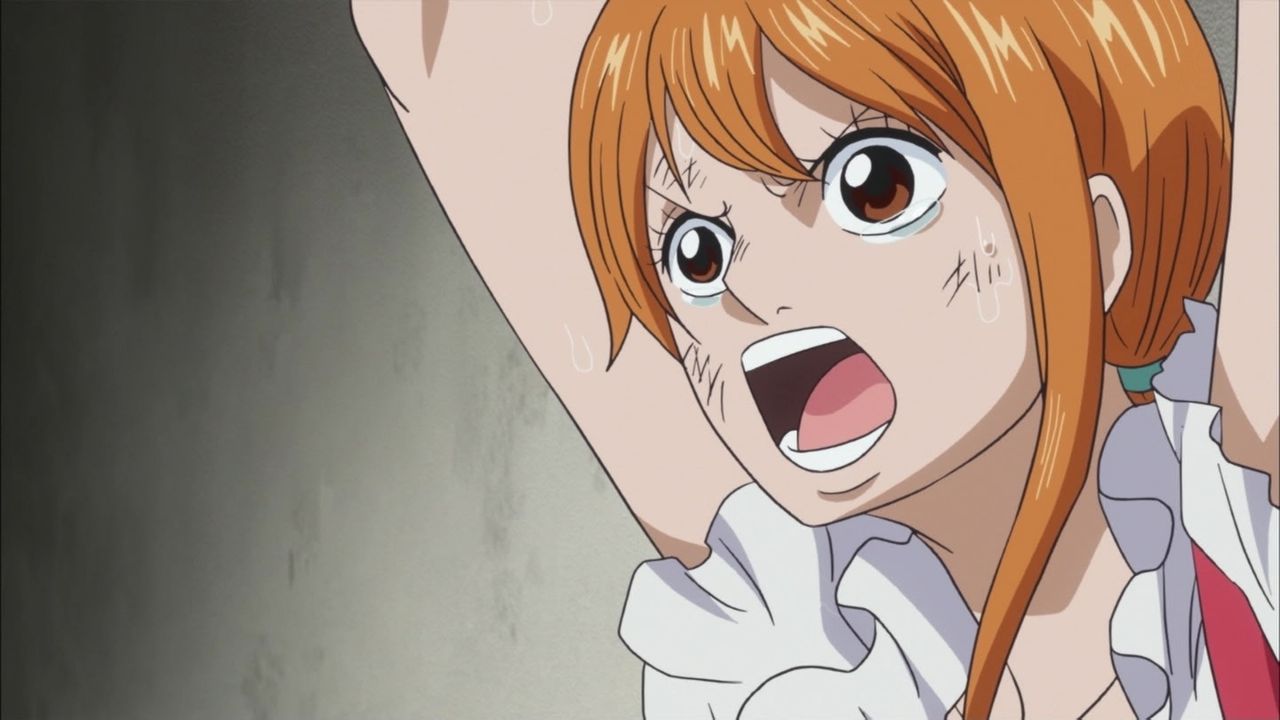 アニメ ワンピース 感想 819話 ナミさんおっぱい丸出し手ブラえろすぎる ソラさん美しい レイジュはとっても優しい子 0話 動画 画像 ツイート あにこぱす