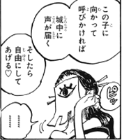 ワンピース 1004話 ロビン バオファン