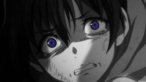2640012