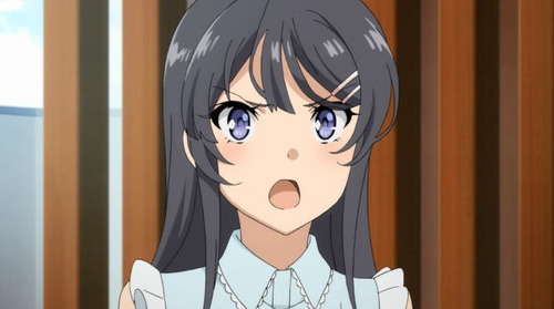 2531556