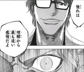 BLEACH 藍染 名言 憧れ