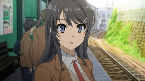 2311872