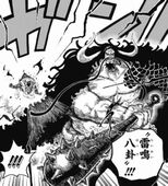 ワンピース カイドウ 雷鳴八卦