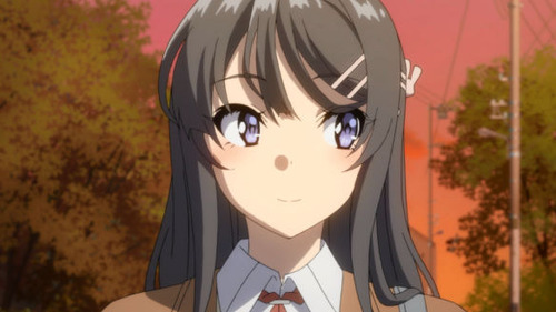 2597307
