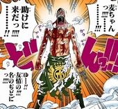 ワンピース ネタバレ考察 ワンピースがつまらない理由 ついに発見 あにこぱす