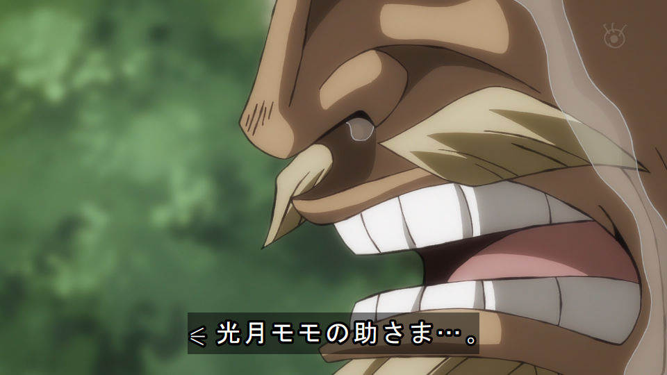 ワンピース アニメ感想 910話のまとめ お菊の顔が見えないの怪しすぎる くの一ナミさんえっちすぎる あにこぱす