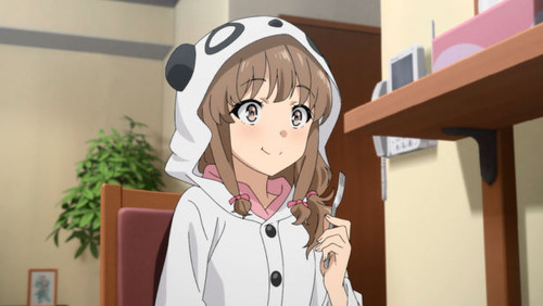  2495256