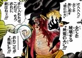 ワンピース59巻 黒ひげ 能力二つ
