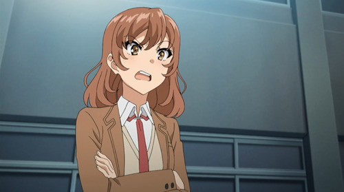 2311802