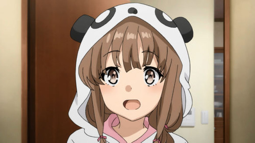 2597918