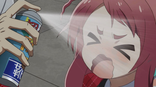 2480445