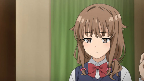 2632511