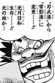 ワンピース オロチ ハブ トカゲ