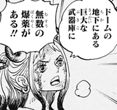 ワンピース ヤマト ガチで死亡しそう ネタバレ 1028話 あにこぱす ワンピース ヤマト ガチで死亡しそう ネタバレ 1028話 あにこぱす