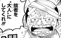 ワンピース 大人モモの助の姿 既に登場していた ネタバレ 1023話 あにこぱす