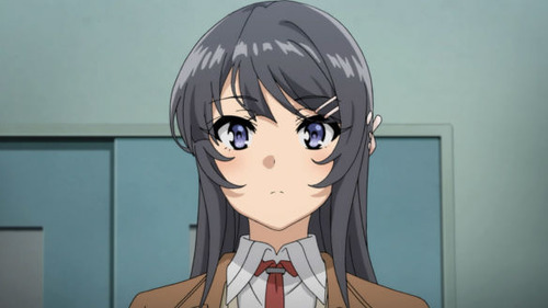 2597505
