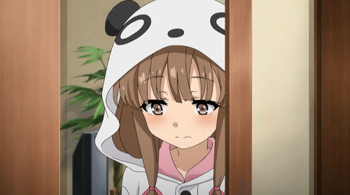 2312512