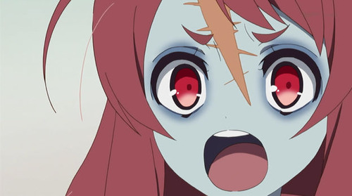 2554255