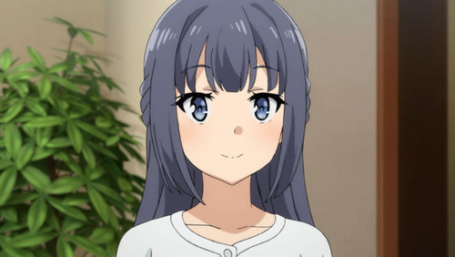  2495358