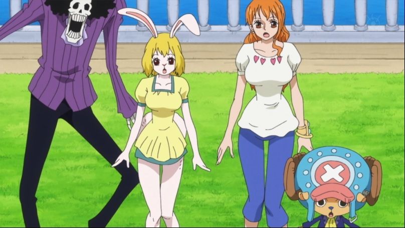 ワンピース アニメ 879話感想 レベッカとヴィオラ可愛すぎる コビー出世し過ぎでしょ ルフィの懸賞金がついに15億に ネタバレ 動画 画像 あにこぱす ワンピース アニメ 879話感想 レベッカとヴィオラ可愛すぎる コビー出世し過ぎでしょ ルフィの懸賞金がついに15億に ネタバレ 動画 画像 あにこぱす
