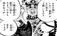 ワンピース キングの正体 既に登場してるアイツと同じ種族だった ネタバレ 1022話 あにこぱす