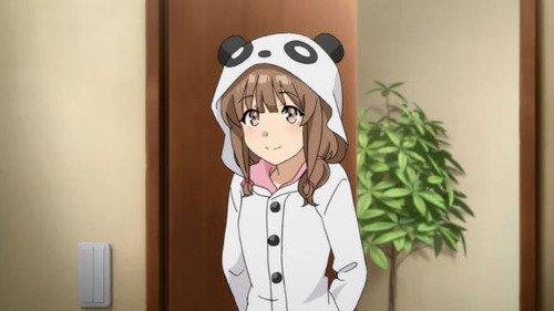 2597835