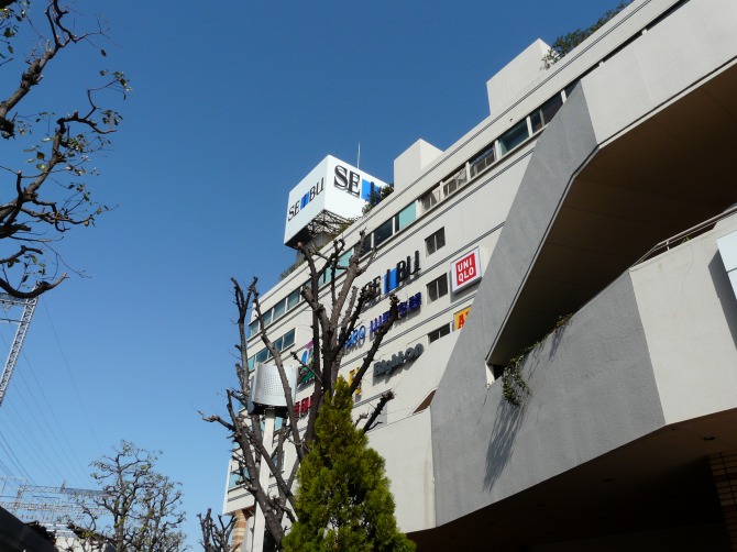 駅長お薦めハイク 八尾春の陣 ゆかりの人物を訪ねて 常光寺 りんどうのつぶやき 駅長お薦めハイク 八尾春の陣 ゆかりの人物を訪ねて 常光寺 りんどうのつぶやき