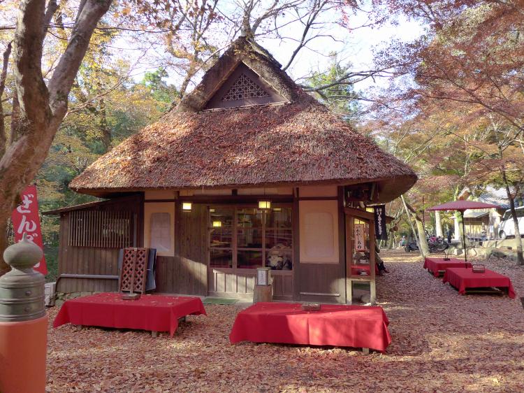 初冬の奈良公園 水谷茶屋から二月堂 りんどうのつぶやき