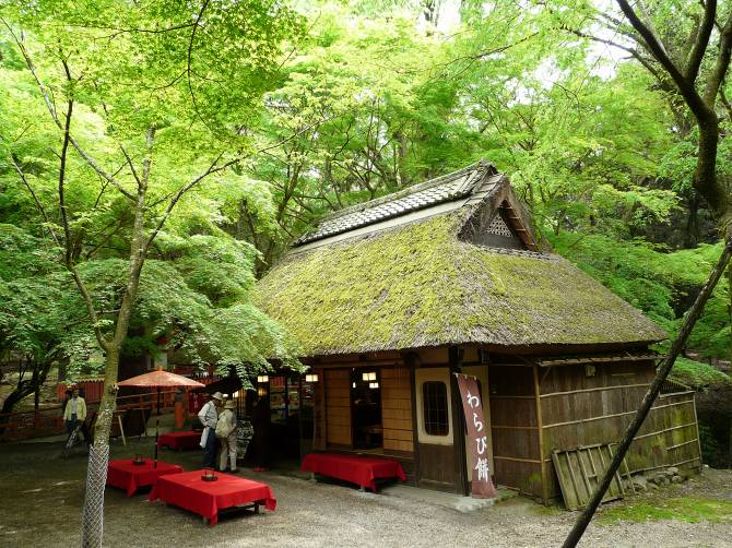 初夏の奈良公園 二 水谷茶屋から二月堂 りんどうのつぶやき