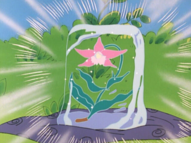 氷中花 もっとおいでよ アンパンマン沼
