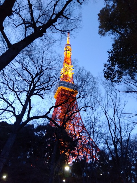 IMG_2024-03-09-17-48-39-259 (1)