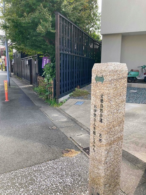 1697415760998 (1)