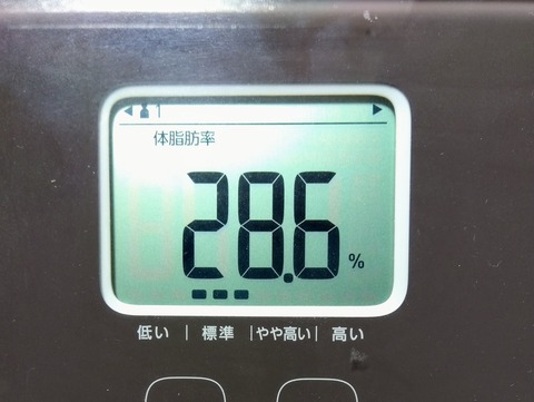 IMG_2023-10-11-11-02-22-547 (1)