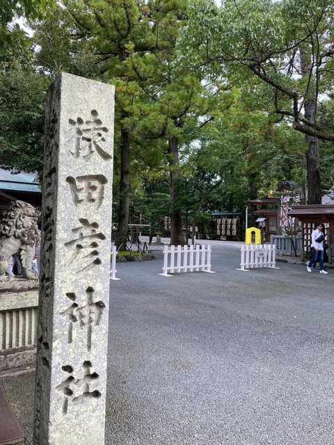 1697415743819 (1)