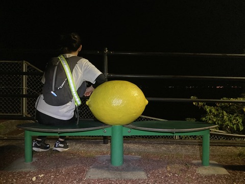 1695441981189 (1)