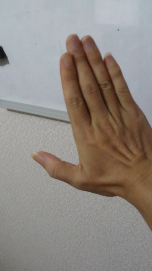 今日の右手 25日目 ノンとギターとおじさん