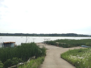 写真 2015-06-02 15 56 26