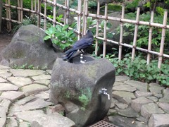 写真 2014-07-21 15 50 45