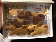 写真 2014-04-27 20 02 28
