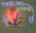 20090204032430