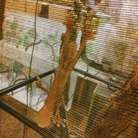 写真 2017-05-21 15 39 19