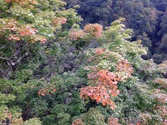 写真 2014-09-23 15 22 29